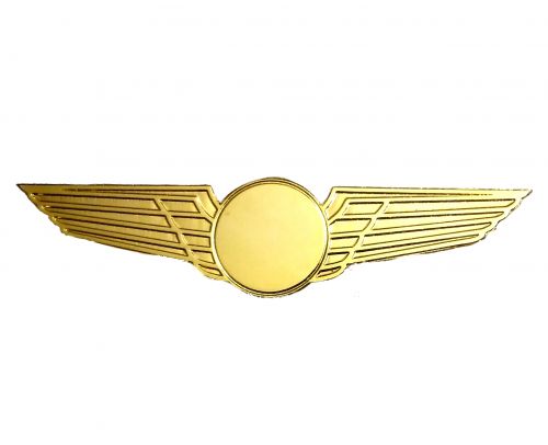 https://pilottrainingcentre.com/storageGold plated wing With Aircraft (Laser Cut)