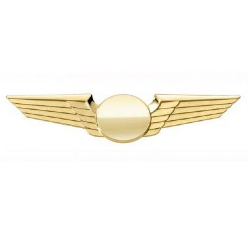 Pilot Wings (Gold)